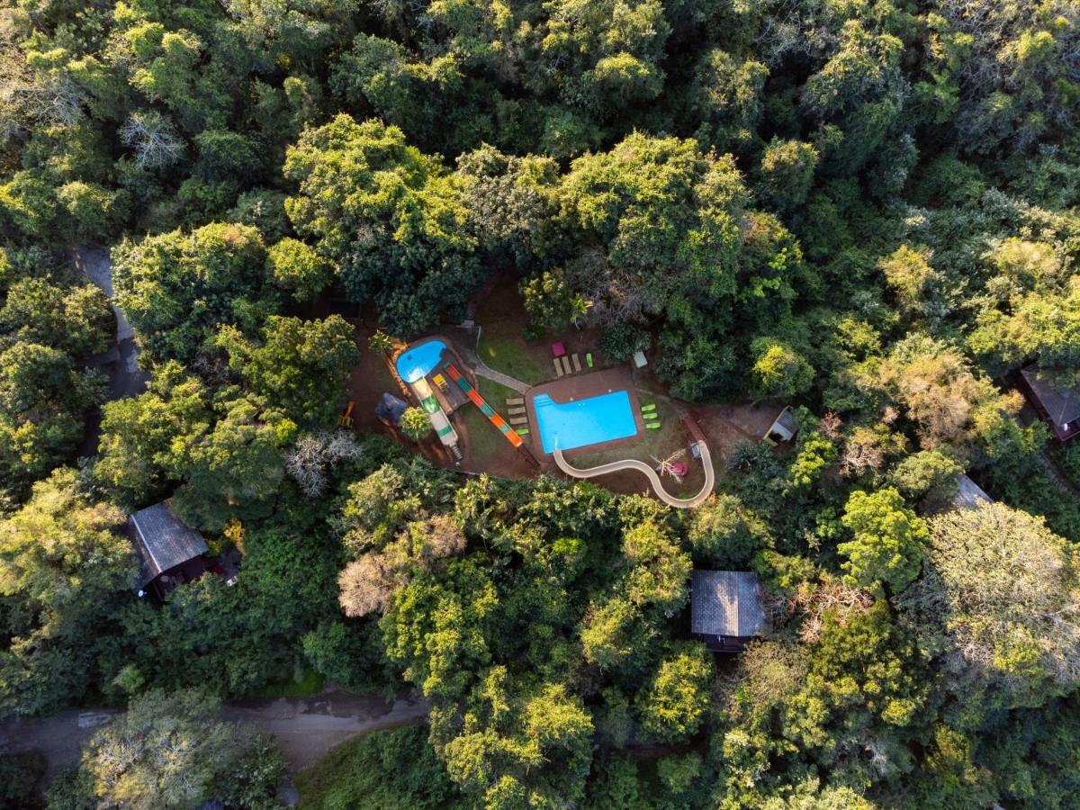 Mtunzini Forest Lodge Self Catering Resort Екстериор снимка