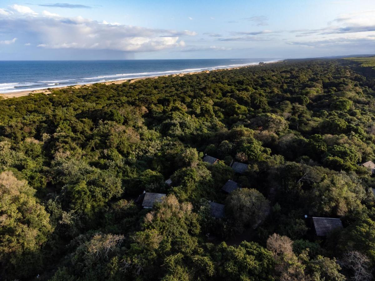 Mtunzini Forest Lodge Self Catering Resort Екстериор снимка