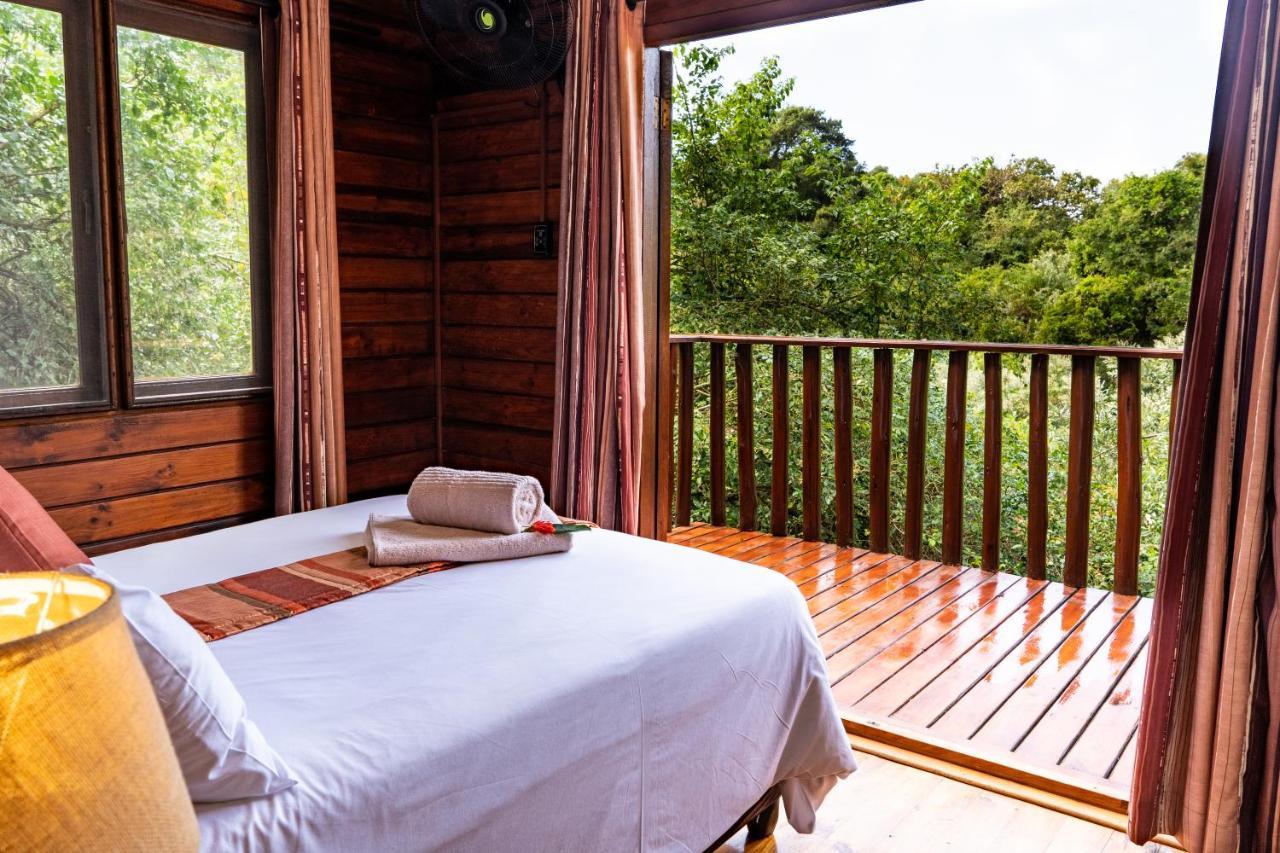 Mtunzini Forest Lodge Self Catering Resort Екстериор снимка